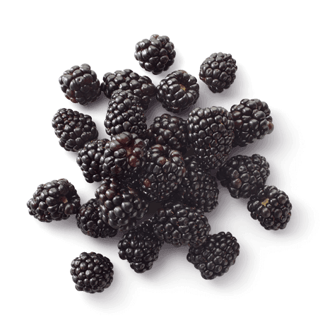 Cascadian Farm Frozen Blackberries