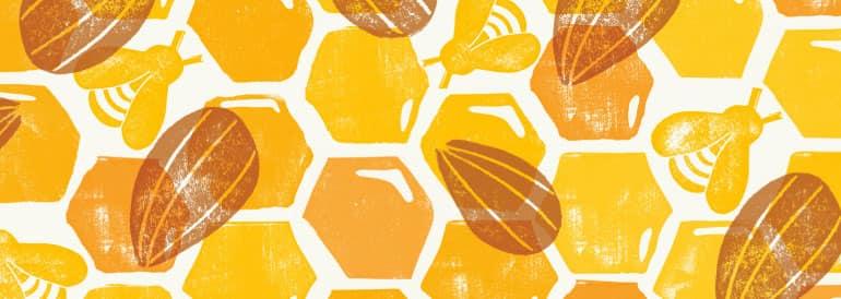 Orange and yellow honey bee and almond Cascadian Farm pattern