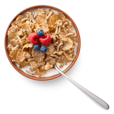 Cascadian Farm Hearty Morning Fiber Cereal in a bowl topped with berries