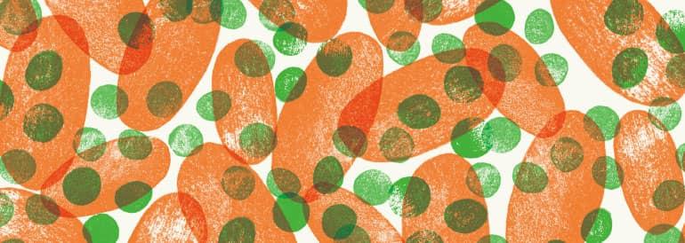 Multicolored stamped pattern of Peas & Carrots