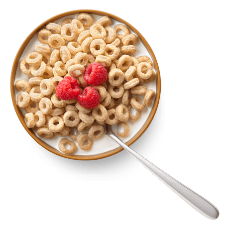 General Mills Honey Nut Cheerios Cereal-In-A-Cup 
